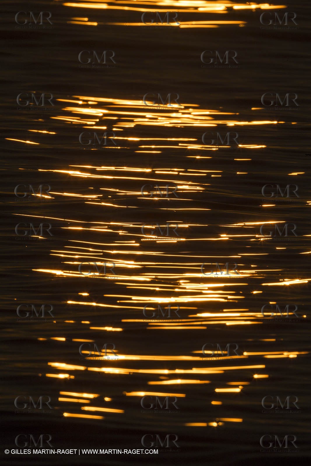 21 12 2014, Barcelona (ESP), Barcelona World Race 2014-15,