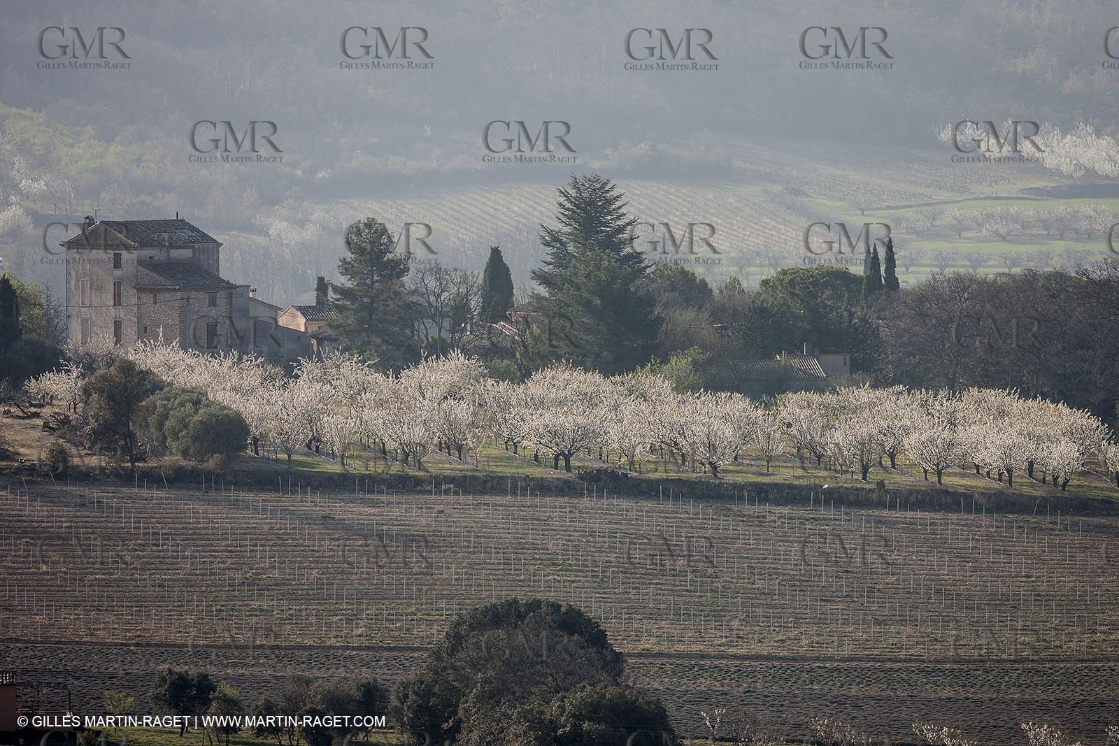 March 30th 2012 - Saint Saturnin les Apt (FRA, 84) - blooming cherry trees