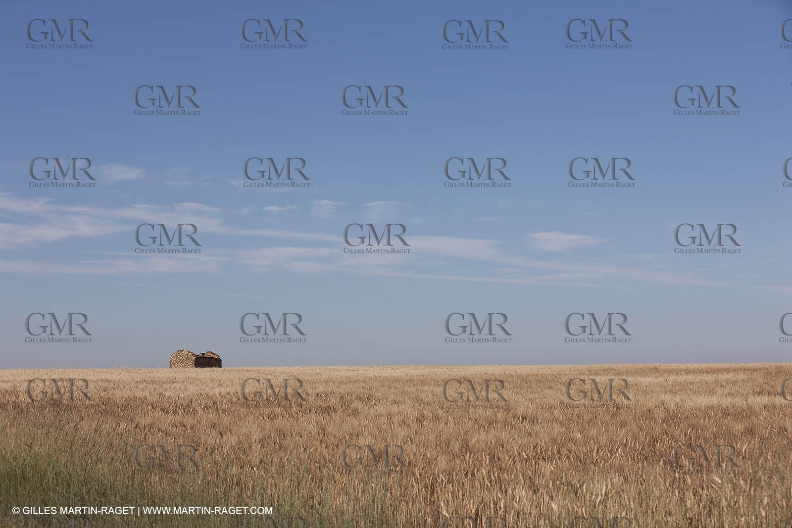 27 06 2011 - Valensole (FRA, 04) - Lavander fields