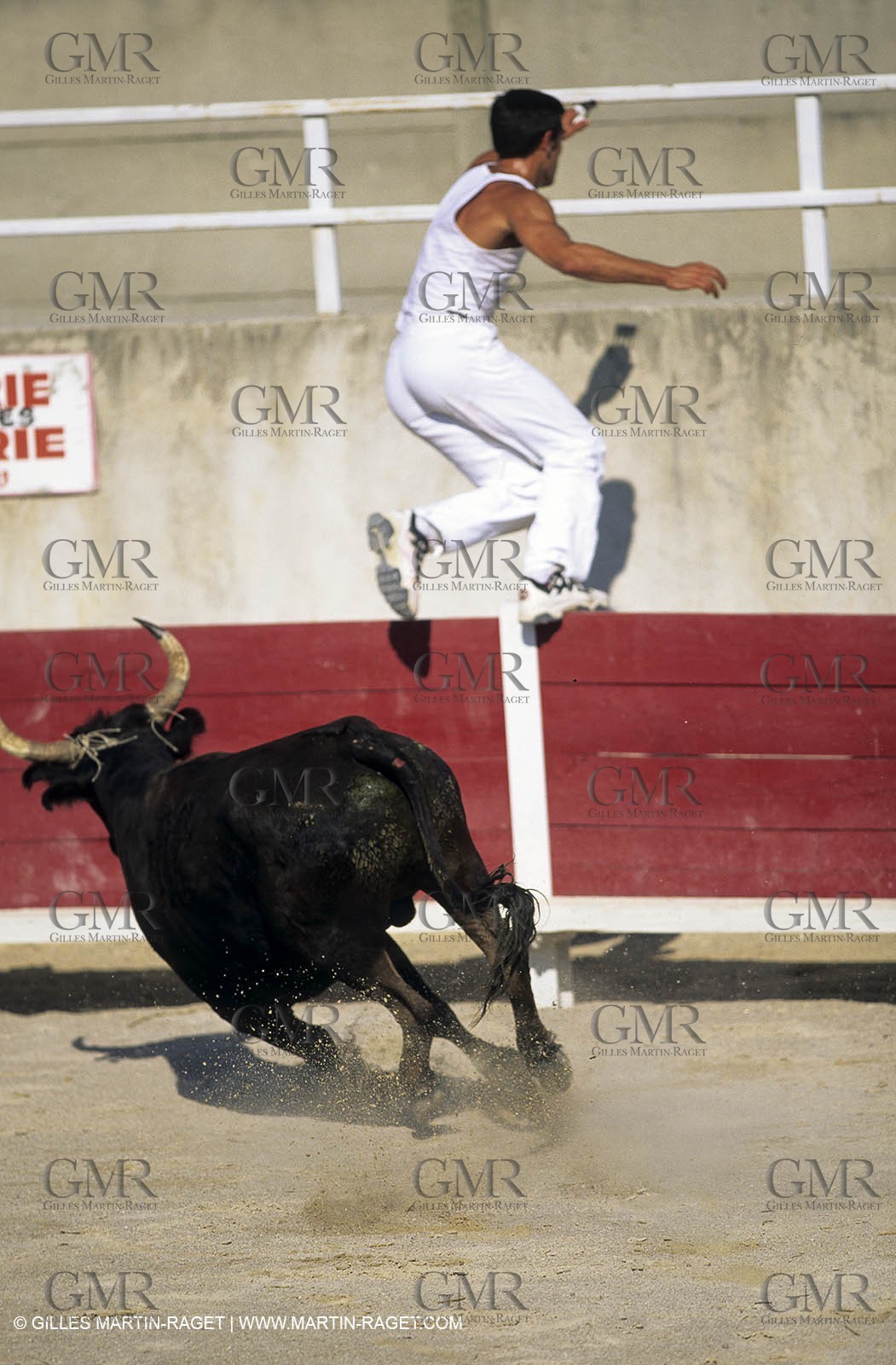 Gard, (FRA,30) - Camargue bull game