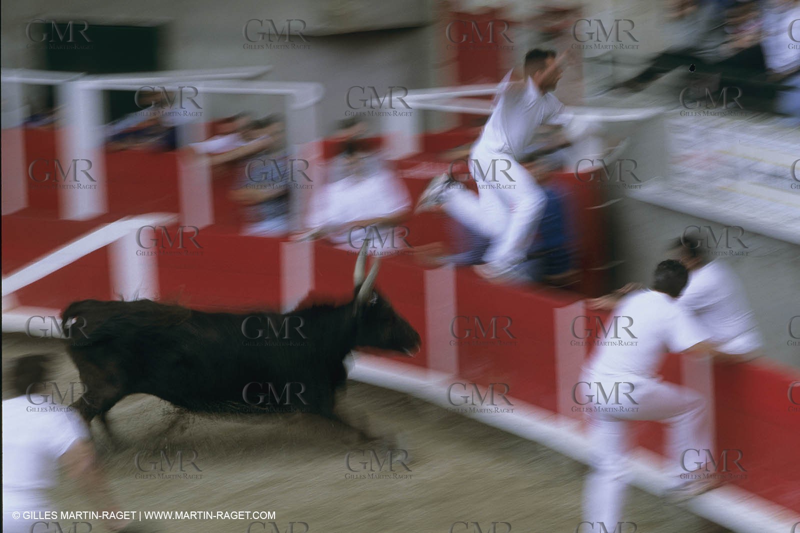 France, Provence, Course libre