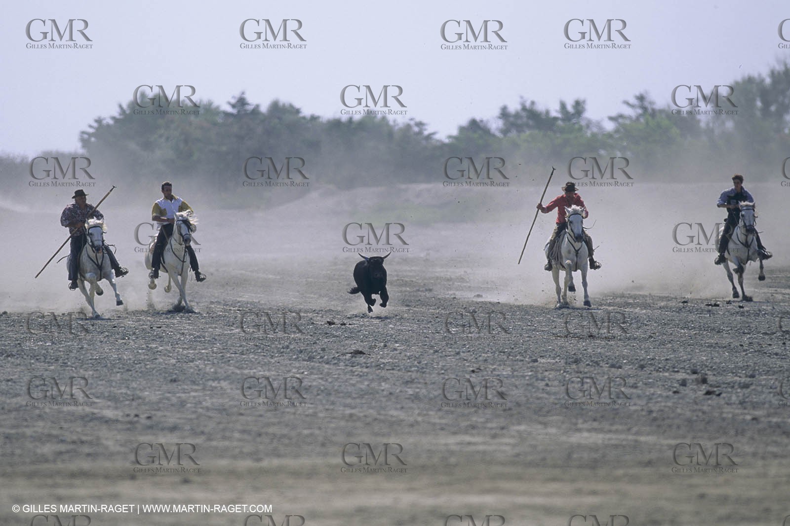 France, Provence, Camargue, Gardians de Camargue, métier, fêtes, élevage, tri