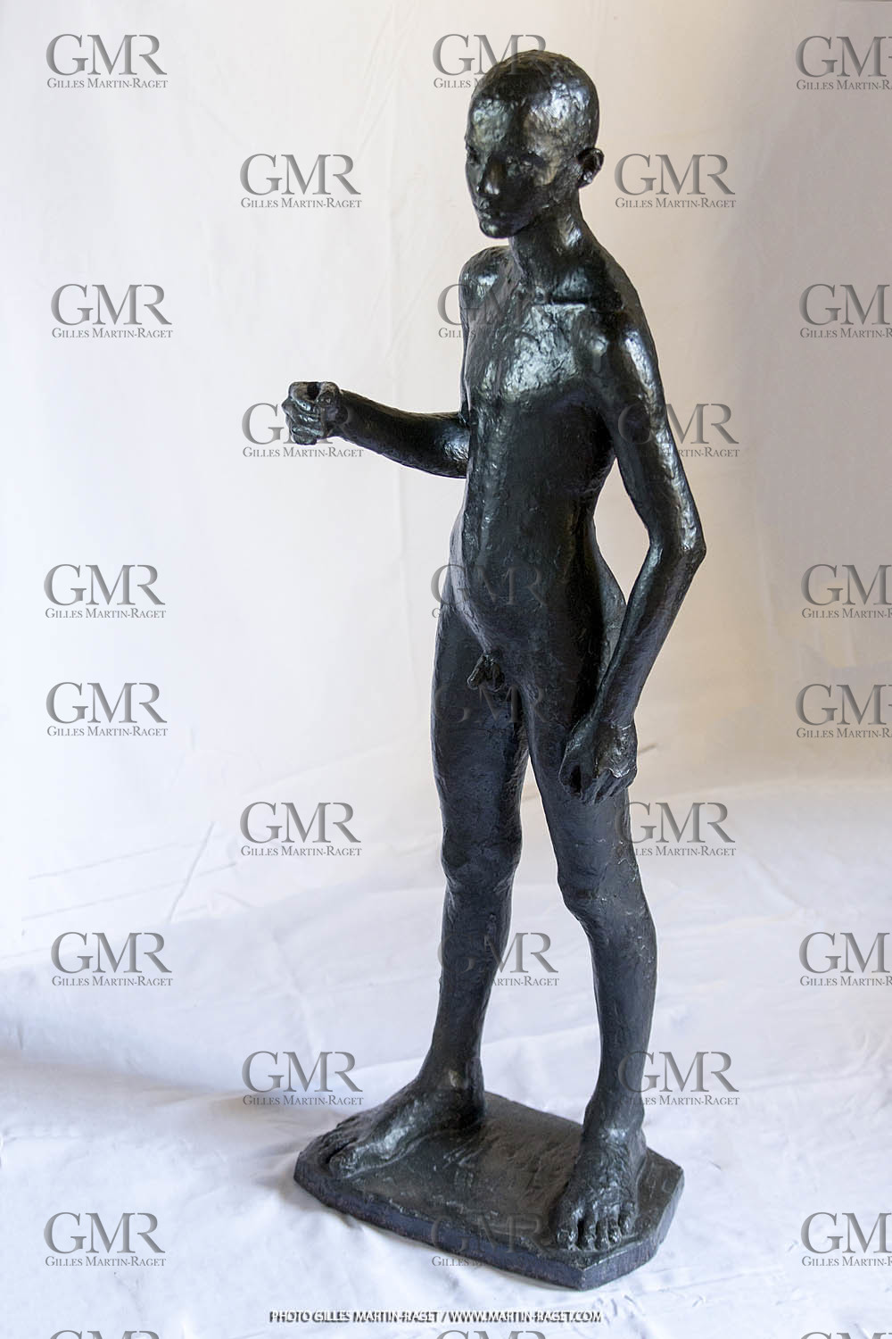06 03 2016, Saint-Etienne du Grès (FRA,13), Oeuvre de Germaine Richier, Loretto I 1934, Bronze patiné foncé, Numéroté 4 6, fondeur Susse, Paris, 160 x 52 x 35 cm, Collection particulière