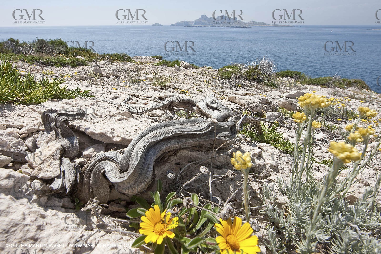 20 05 2009 - Marseille (FRA, 13) - Les Calanques - Calanque du Podestat