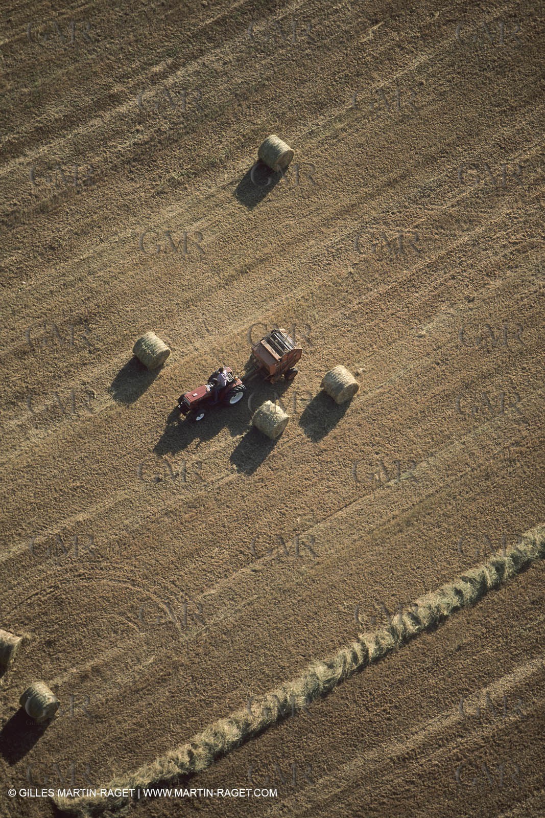 France, Provence, Pays d'Aubagne, collines de Marcel Pagnol