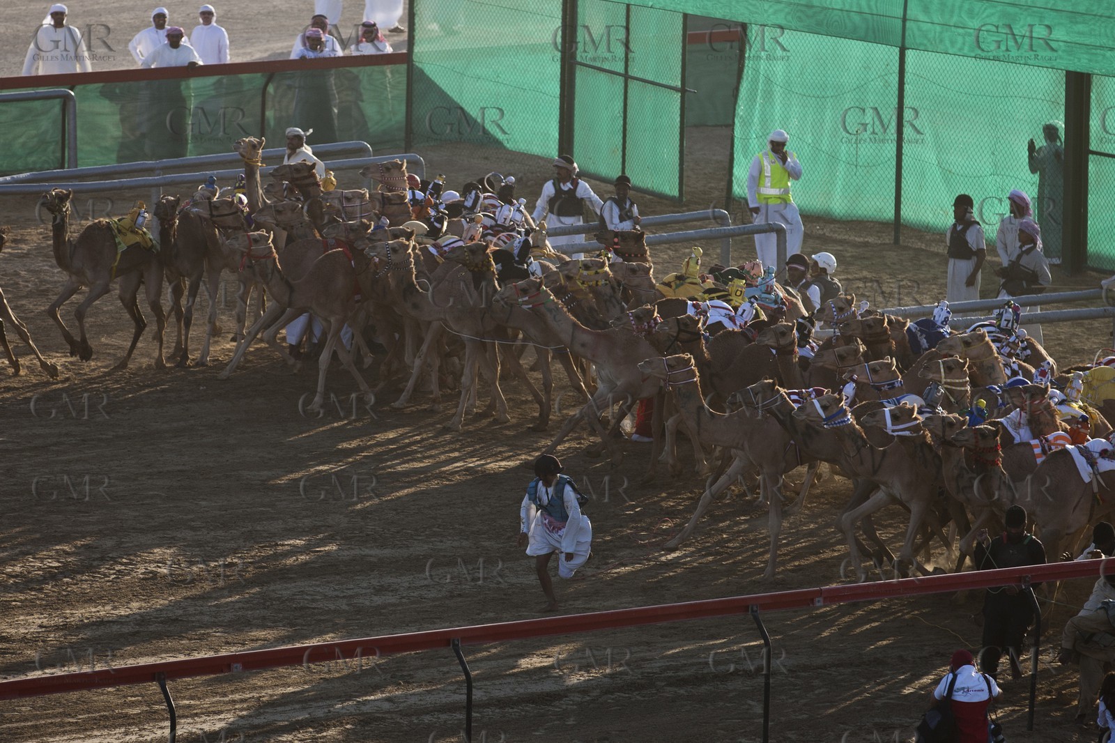 20 11 2010 - Dubai (UAE) - Camel races