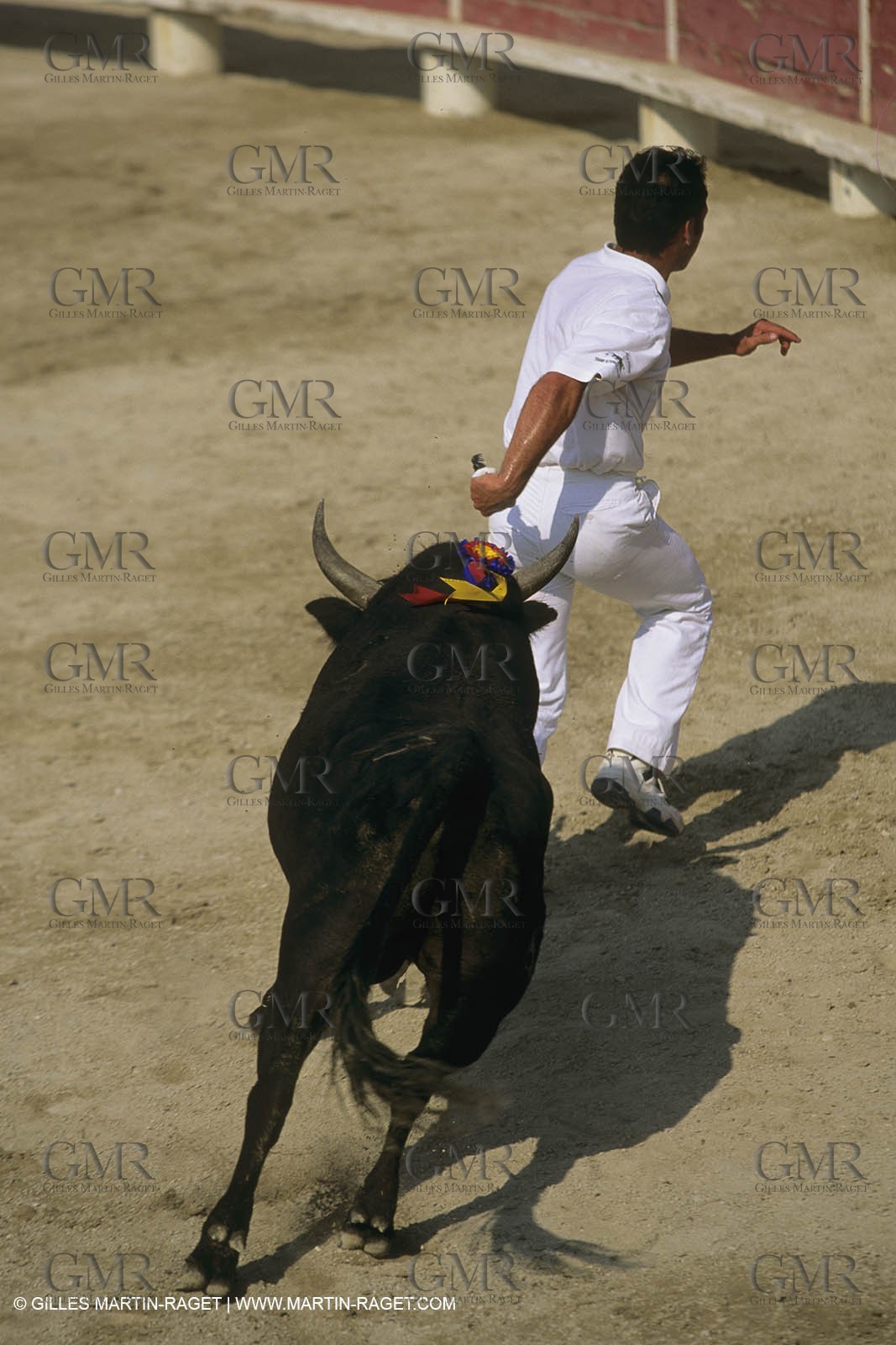 France, Provence, Course libre