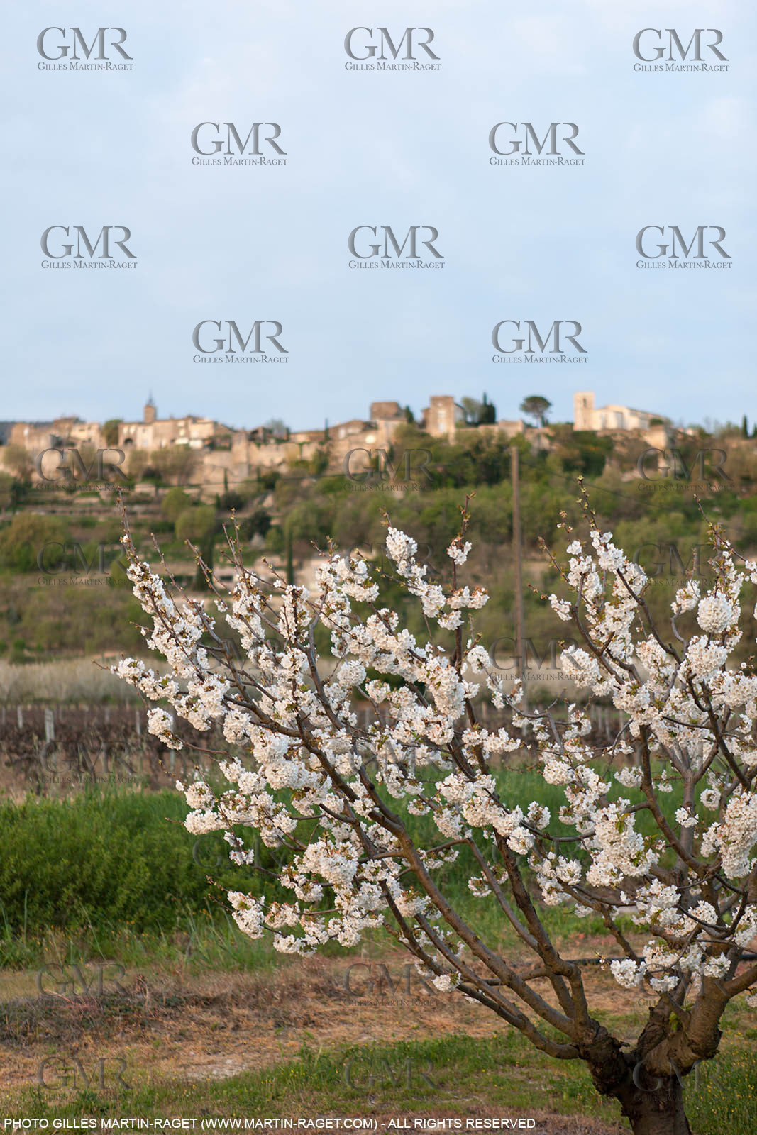 12 04 2016, Luberon National Park, Ménerbes