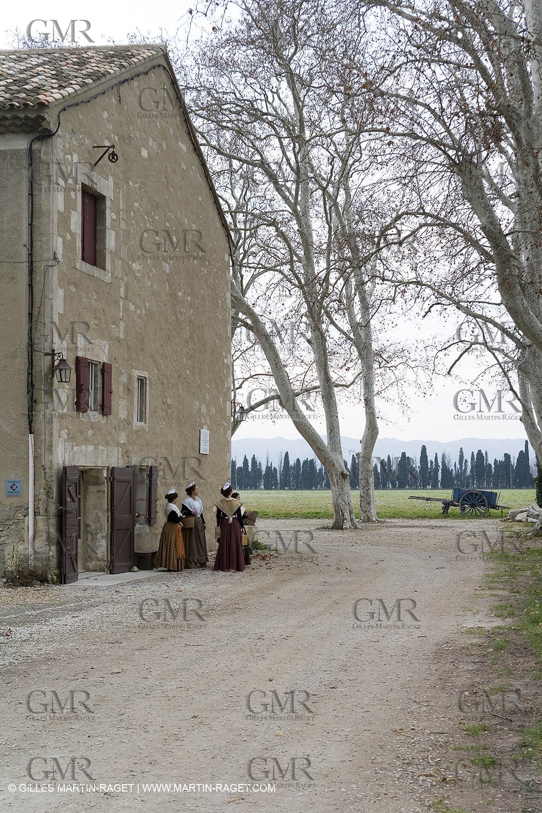 18 02 2007 - Saint Rémy de Provence - Queen of Arles in the Alpilles