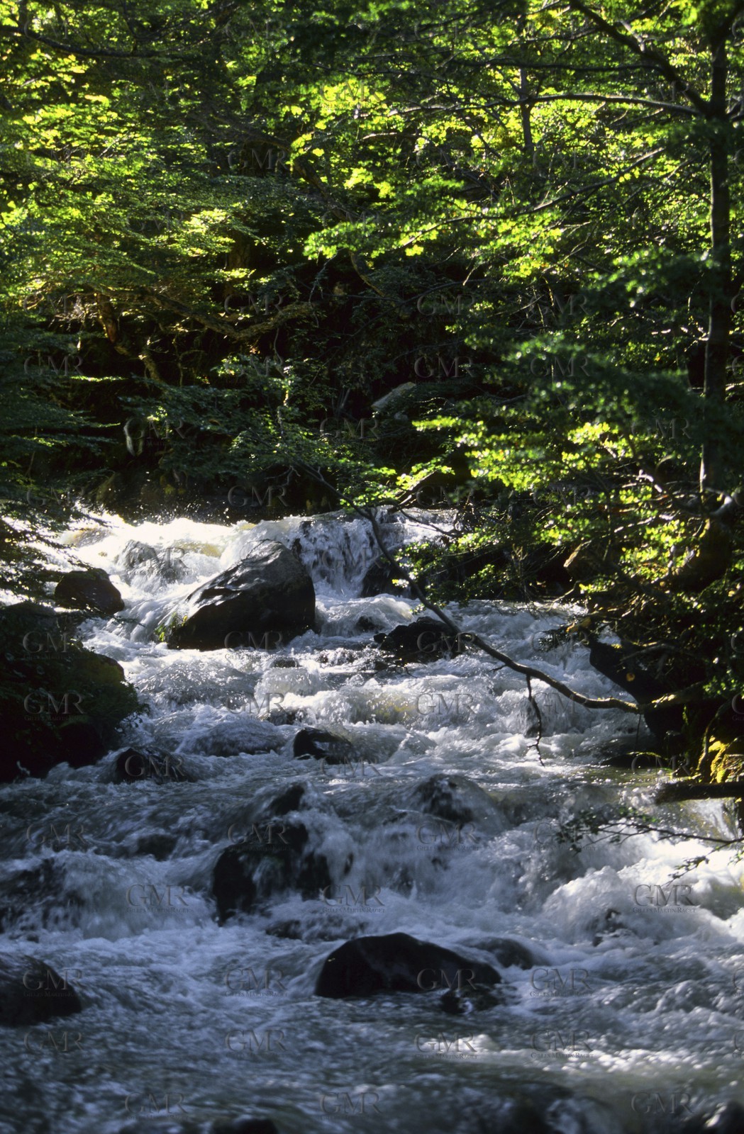 Patagonia