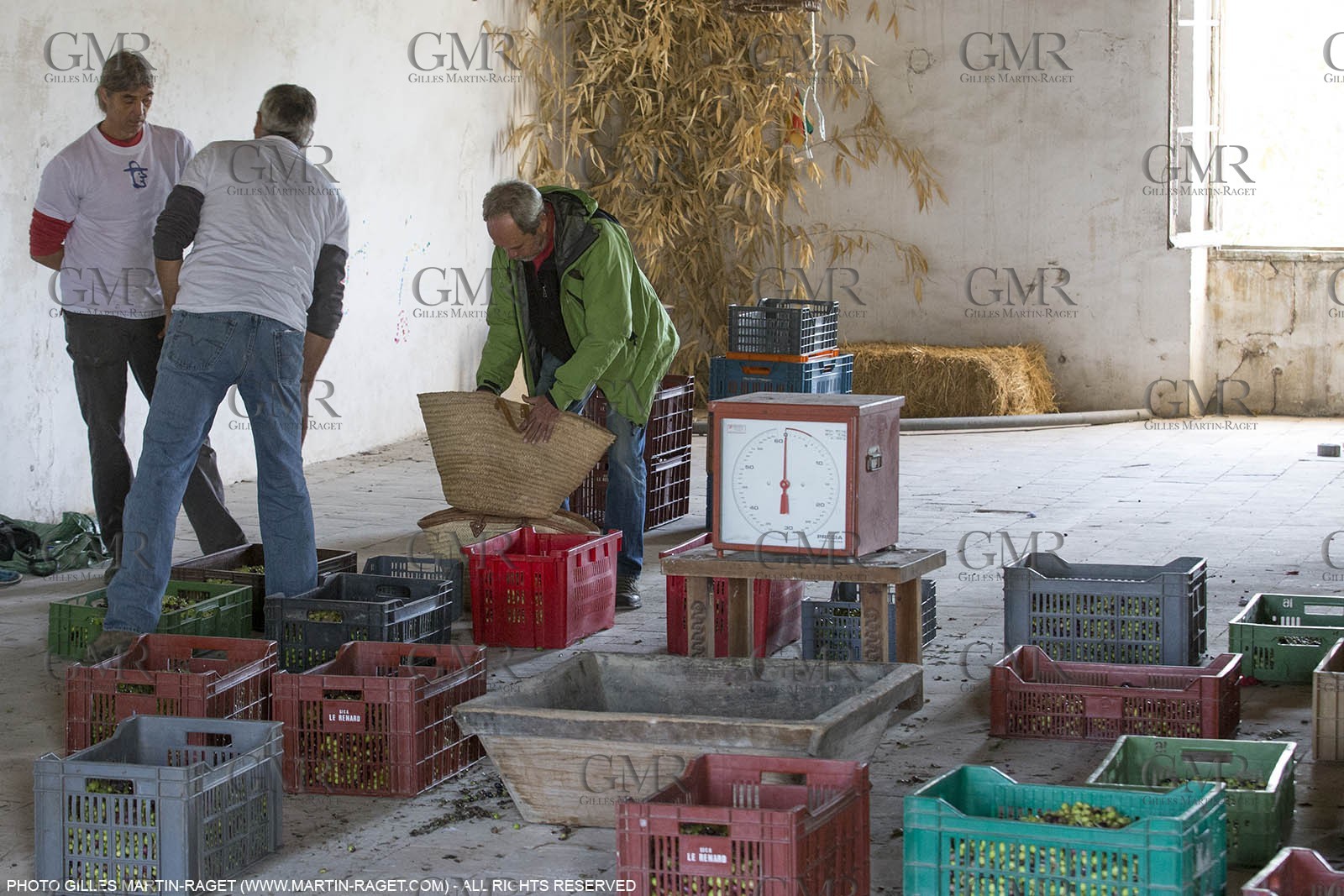 14 11 2015, Saint-Etienne du Grès (FRA,13), traditional making of olive oil at La Croix mill