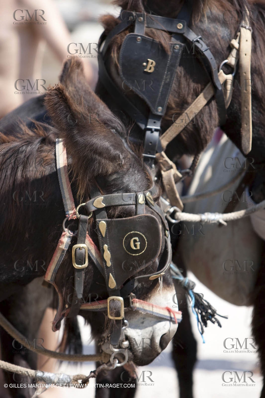 29 07 2009 - Marseille (FRA, 13) - Les Calanques