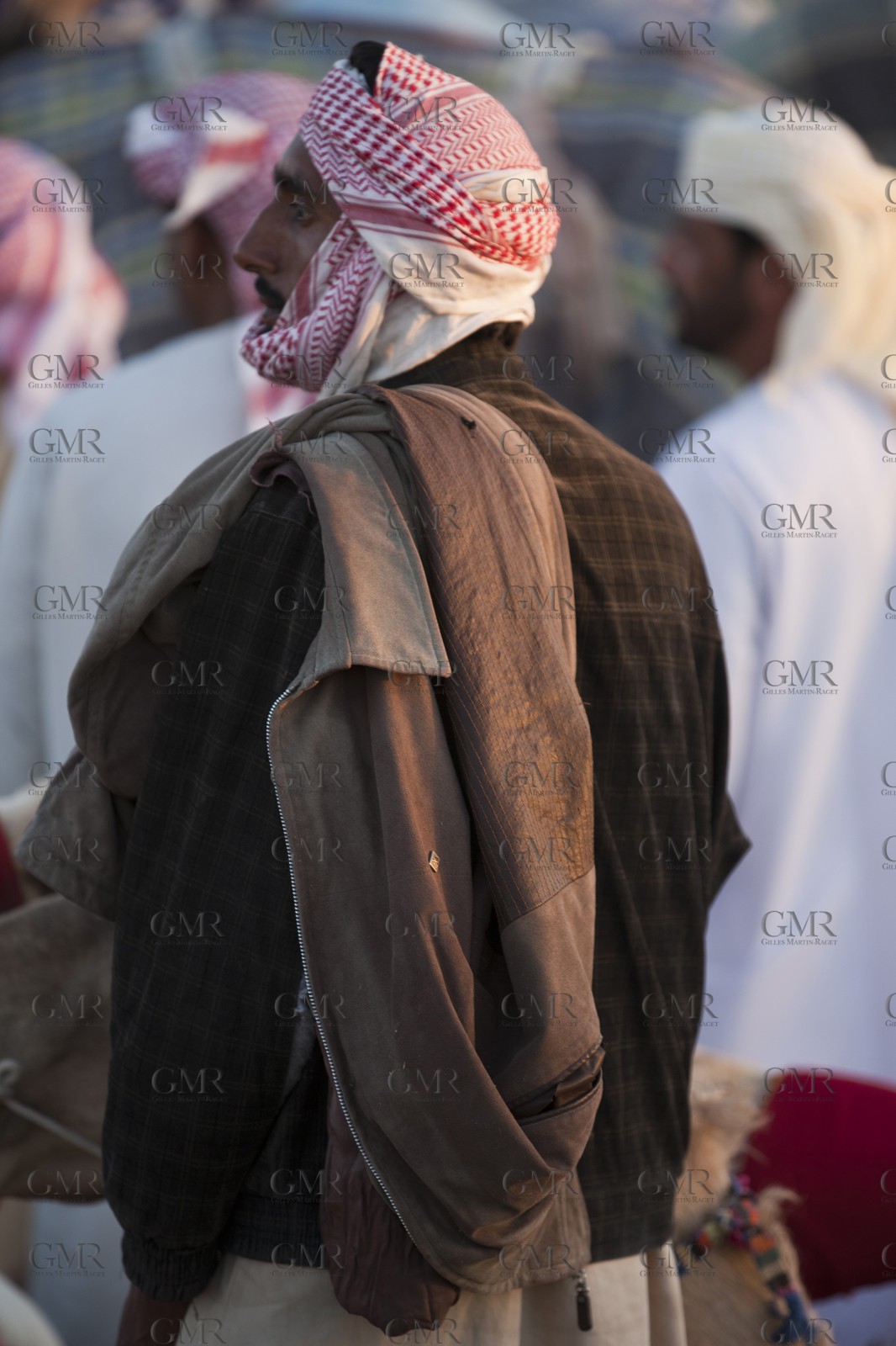20 11 2010 - Dubai (UAE) - Camel races