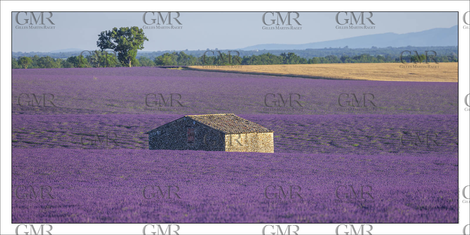 Product: in house made quality print on 8 ultrachome colors Epson ink Jet printer.Available sizes: . 50 x 100 cm. 100 x 200 cmAvailable papers: . Standard 250 gr glossy paper print, black streak, white margin, no signature. Top quality glossy 290 gr. paper, black streak, white margin, checked and signed by the author. Fine Art print (signed, numbered, stamped, registered) on demand. Other supports (Canvas, Acrylic, Metal) on demandPackaging: cylindric reinforced tubeShipping options: regular mail or Shipping companyClick on the basket icon to select your options and start the online ordering process