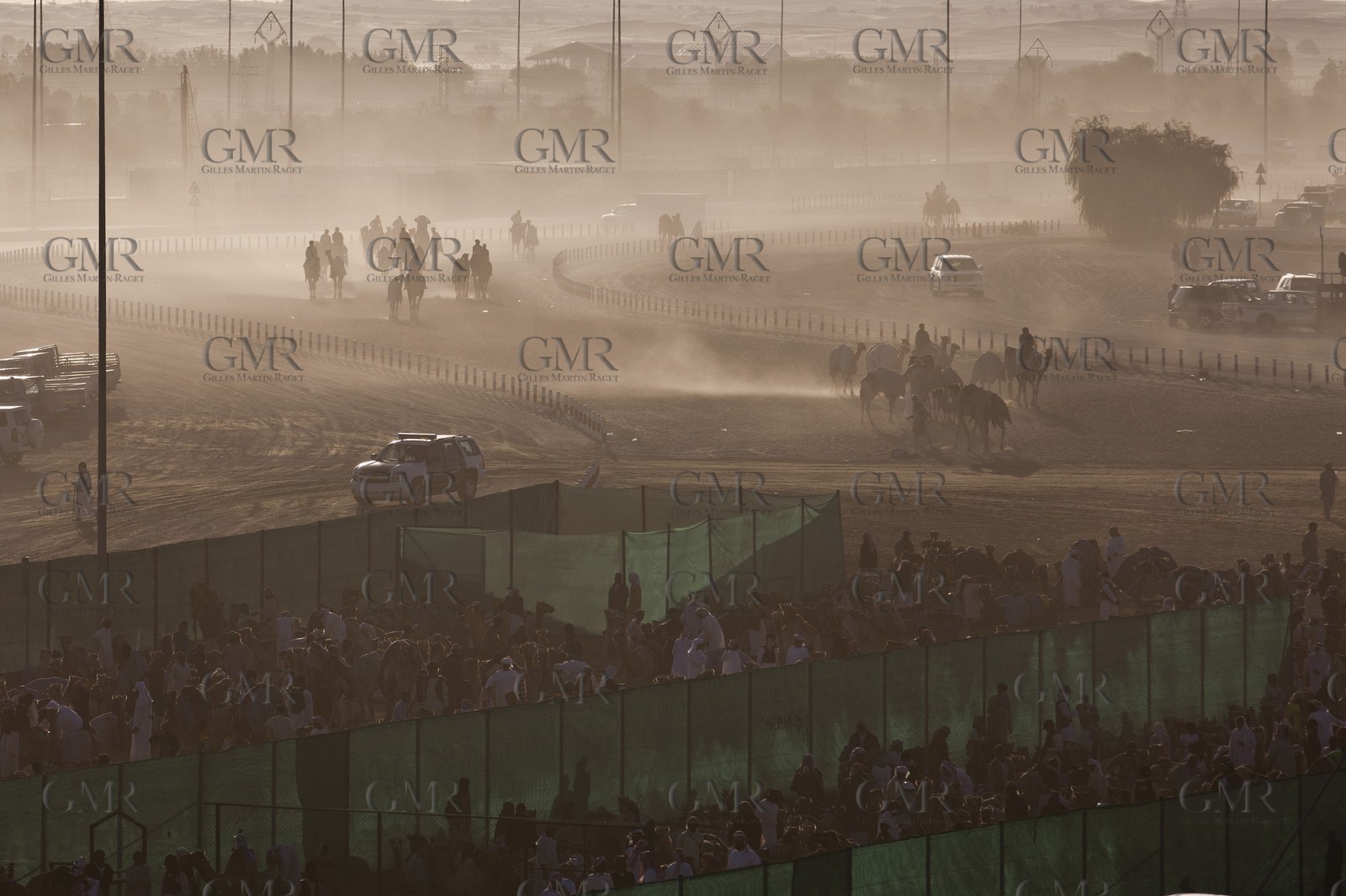 20 11 2010 - Dubai (UAE) - Camel races