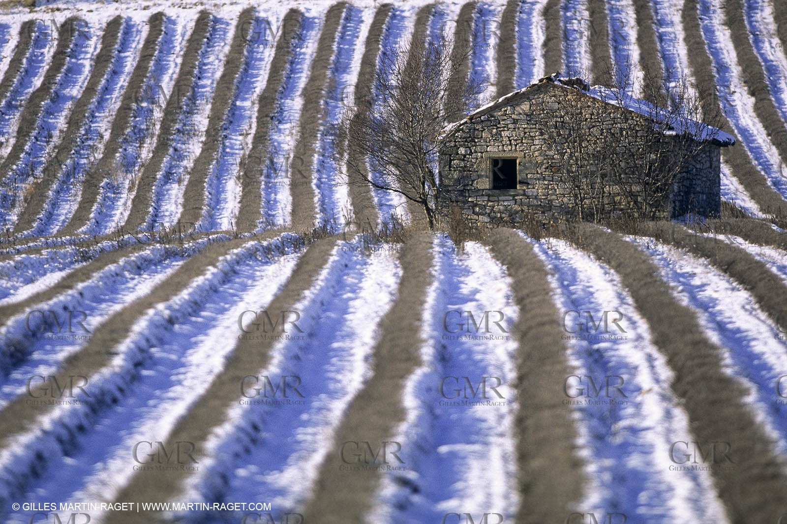 Provence under snow