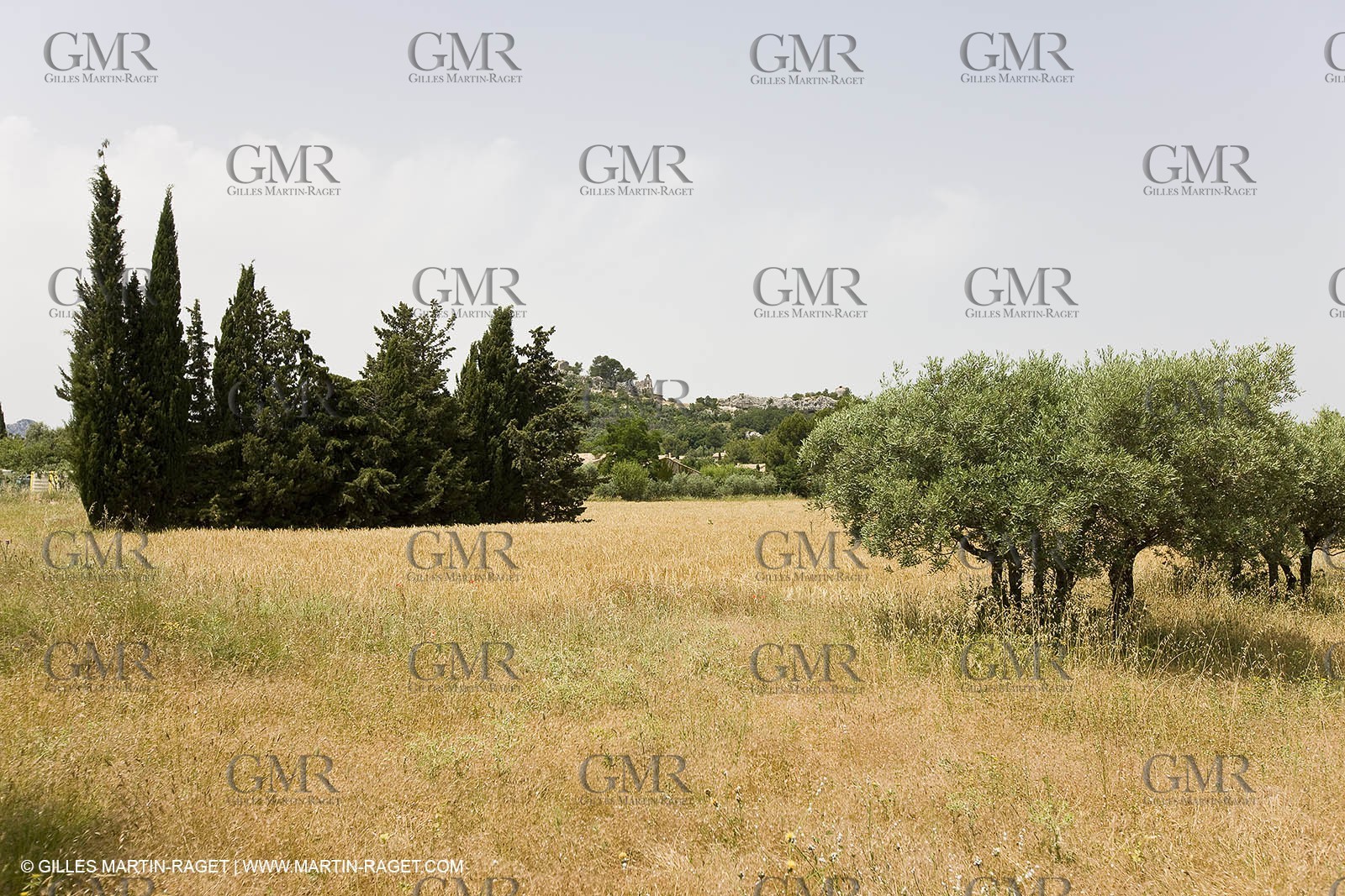 June 24th 2008 - Saint Rémy de Provence (FRA,13) - Alpilles hills landscapes