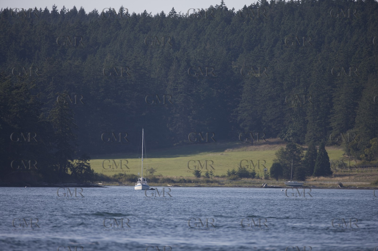 01 09 2008 - San Juan Islands (WA, USA) - Killer Whales