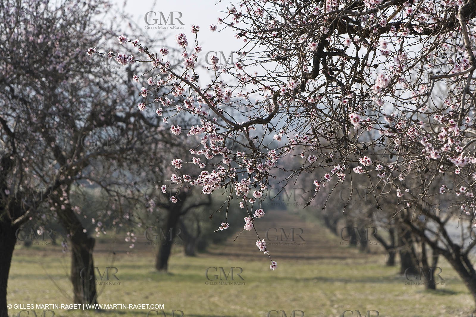 16 02 2008 - Les Baux de Provence (FRA, 13) - Alpilles hills landscapes