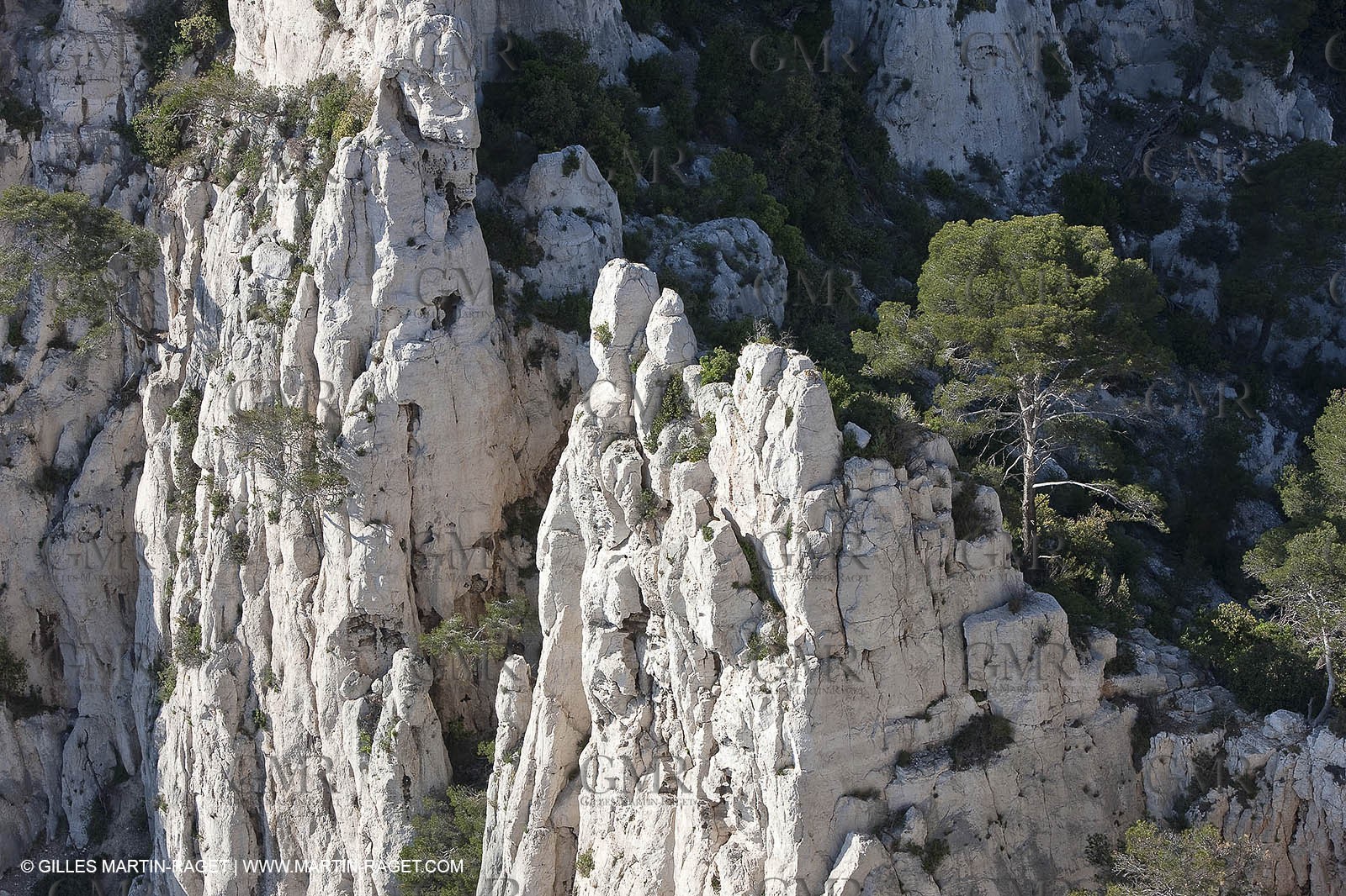 06 05 2009 - Marseille (FRA, 13) - Les Calanques - On Castelviel plateau - Calanque de Loule