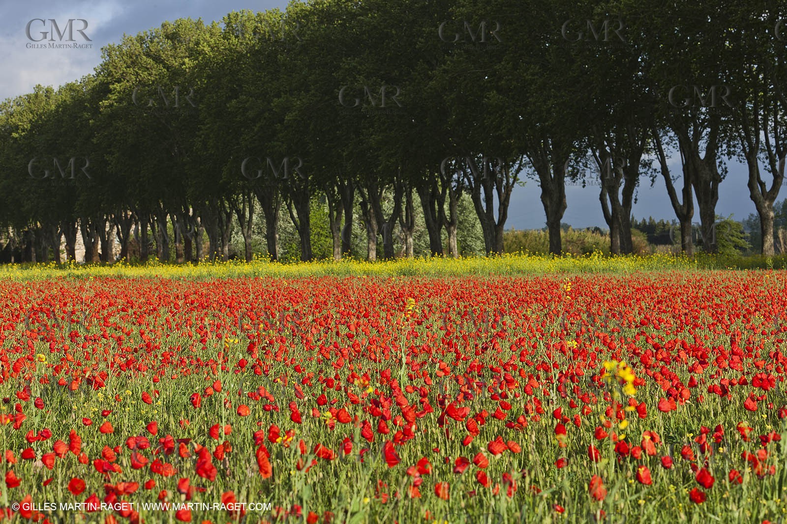 29 04 2012 ( Saint Rémy de Provence (FRA, 13) - Chaîne des Alpilles vers Romanin