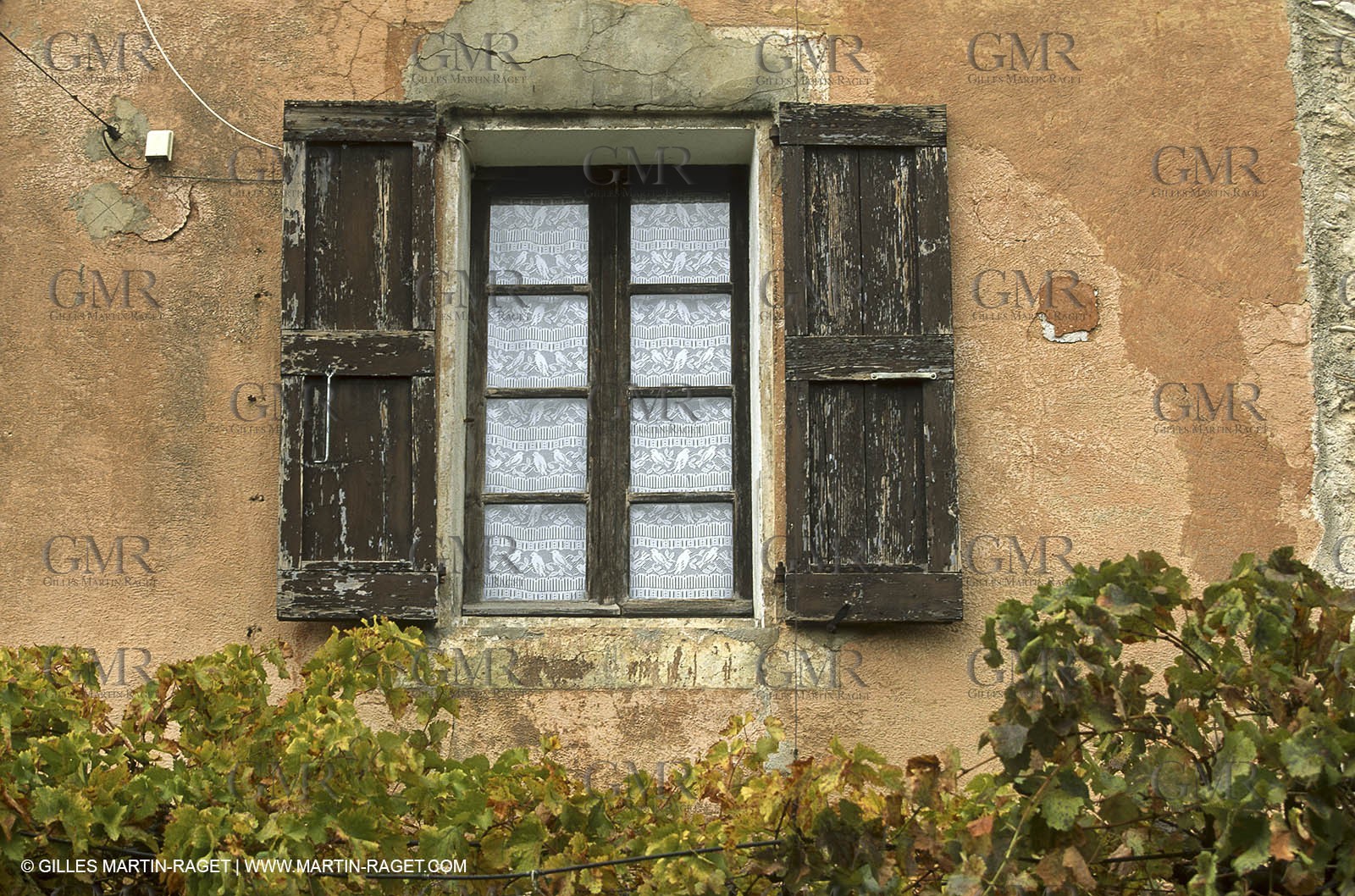 Luberon (FRA,84), Fall colors