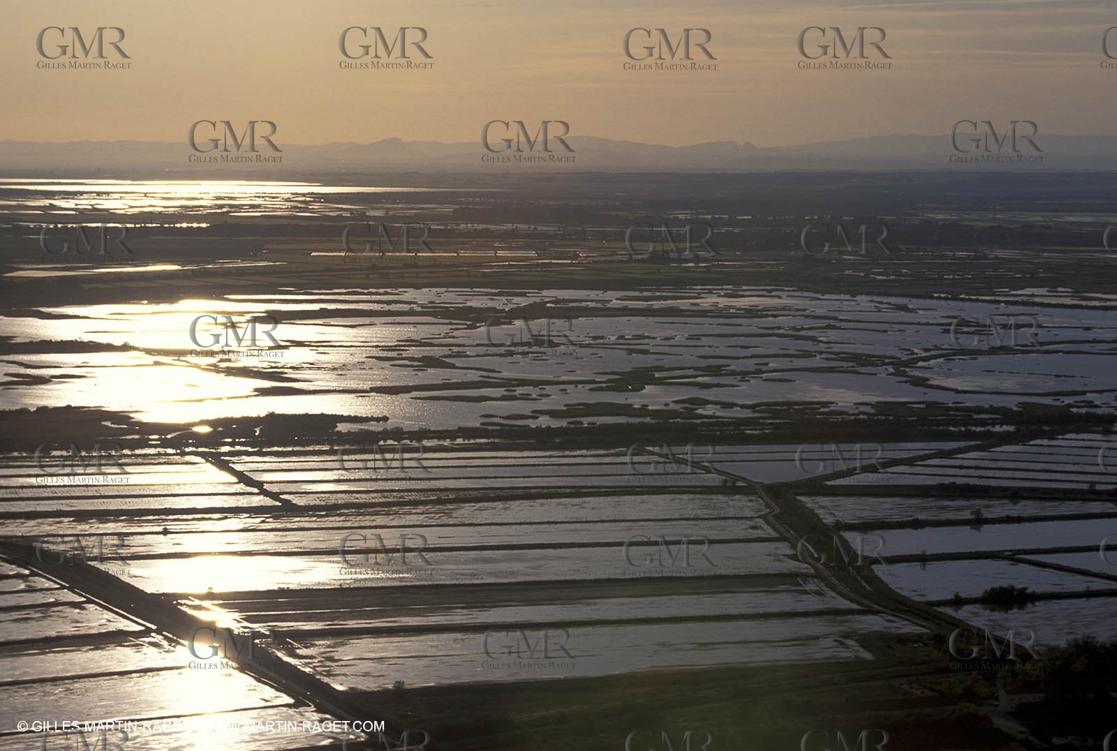 Rizières de Camargue