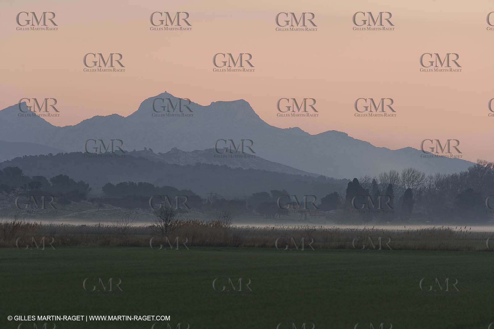 22 02 2008 - Maussane (FRA, 13) - Alpilles hills landscapes