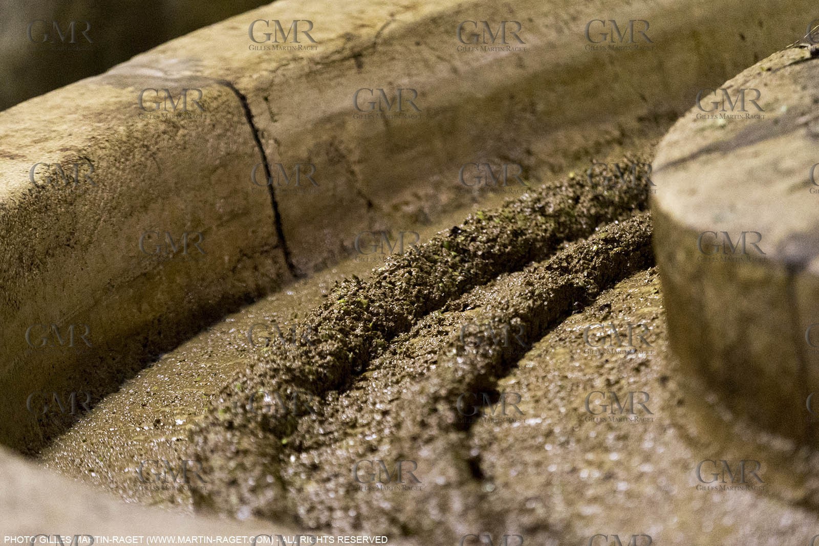 14 11 2015, Saint-Etienne du Grès (FRA,13), traditional making of olive oil at La Croix mill