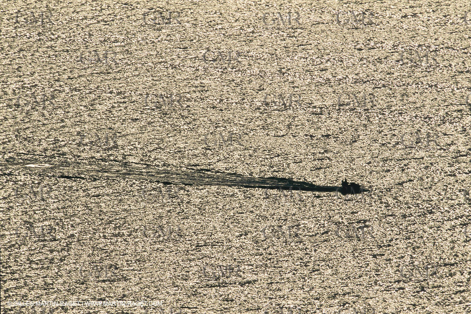 Water sport, Jet skiing