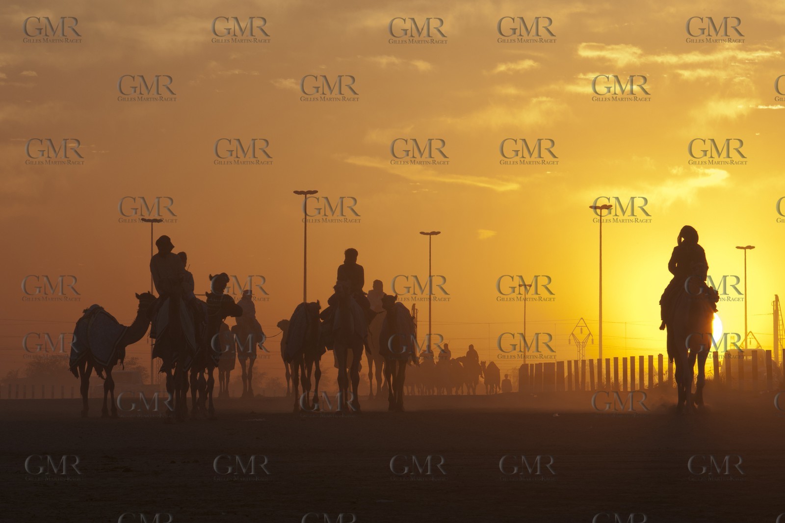 20 11 2010 - Dubai (UAE) - Camel races