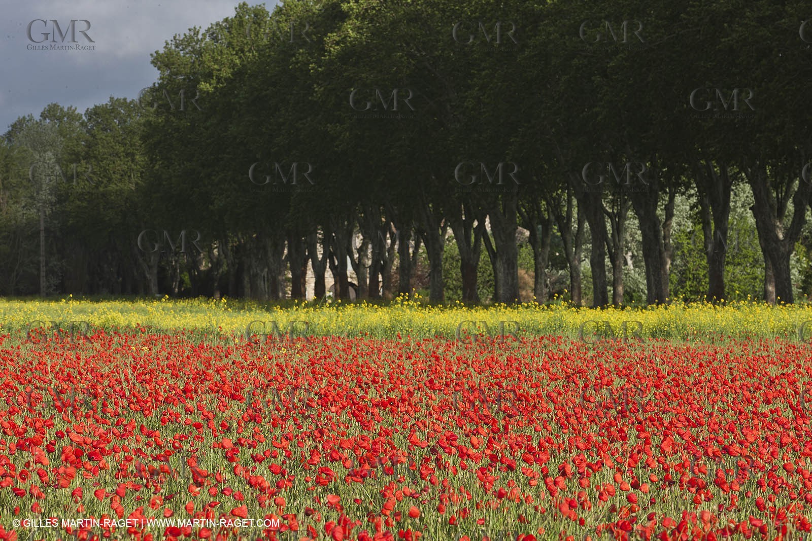 29 04 2012 ( Saint Rémy de Provence (FRA, 13) - Chaîne des Alpilles vers Romanin