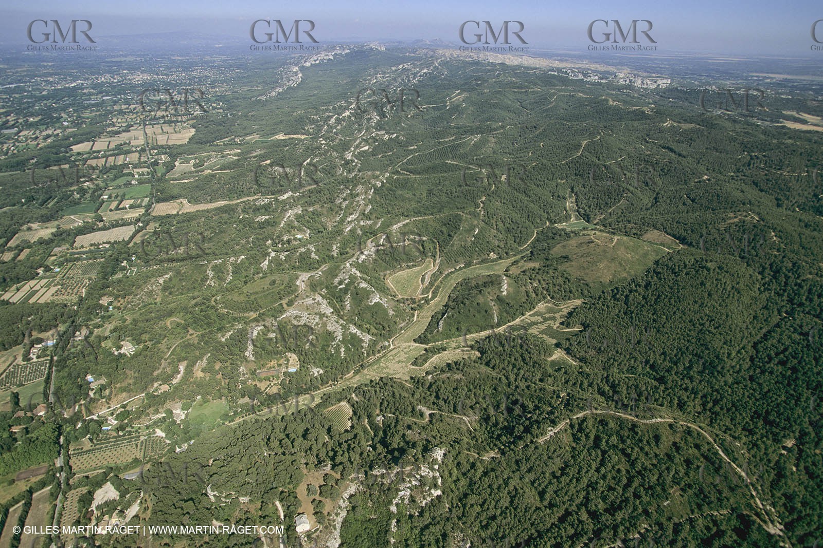 France, Provence, Les Alpilles