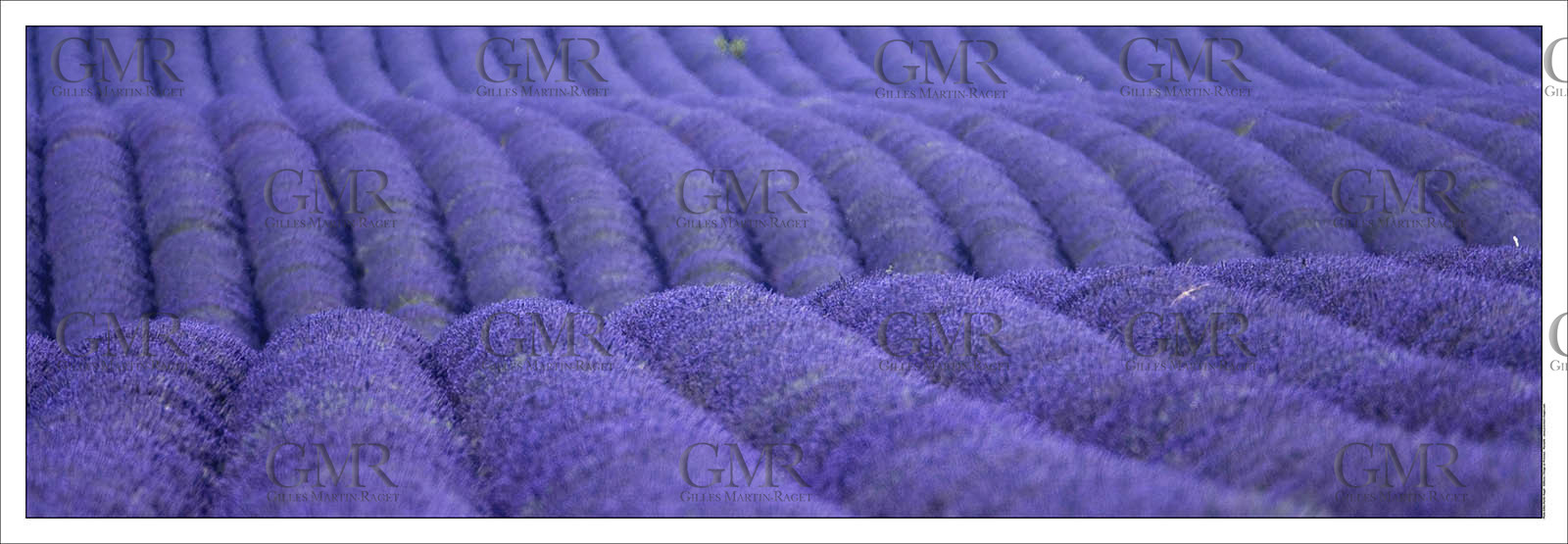 Produit : Tirage photo réalisé par nos soins sur imprimante jet d'encre professionnelle Epson à partir de 8 encres ultrachrome inaltérables (label Digigraphie).Formats au choix :. 20 x 60 cm. 33 x 95 cm- 52 x 150 cmChoix des papiers :. Papier standard brillant 250 gr., filet noir, marge blanche, tirage non signé. Papier haut de gamme satiné 290 gr. filet noir, marge blanche, tirage vérifié et signé par l'auteur.. Autres supports (canvas, acrylique, dibond) sur demandeConditionnement : tube cylindrique renforcé.Options pour l'expédition : . colissimo + dépôt boîte aux lettres (France uniquement). Colissimo avec signature à réception. Transporteur express (2 jours ouvrés) avec signature à réceptionCliquez sur caddie pour sélectionner votre formule et démarrer la procédure de commande en ligne