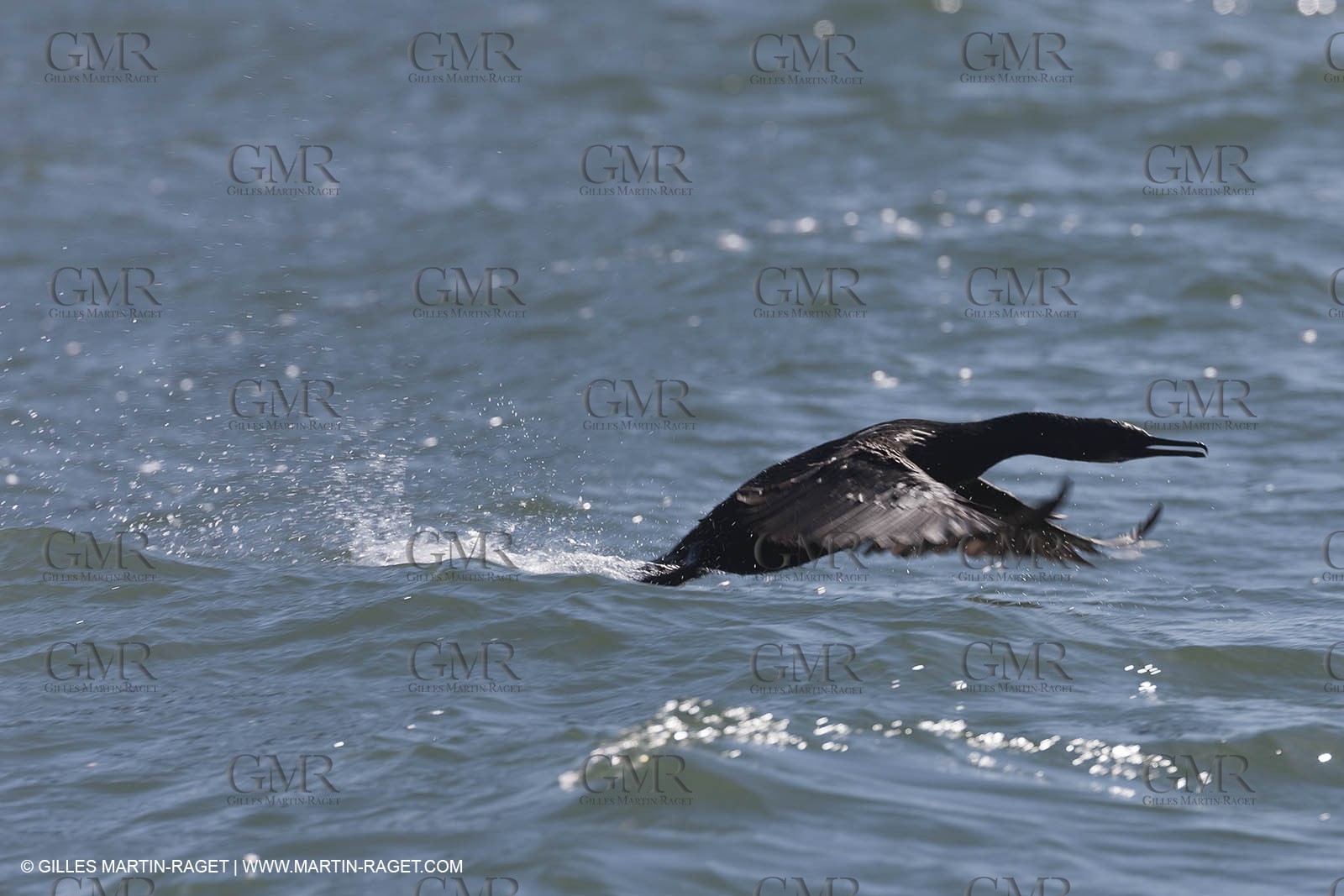 20 02 2013 - San Francisco (USA) - 34th America's Cup - Red Bull Youth America's Cup - Selection Series, session 2, Sailing Day 1