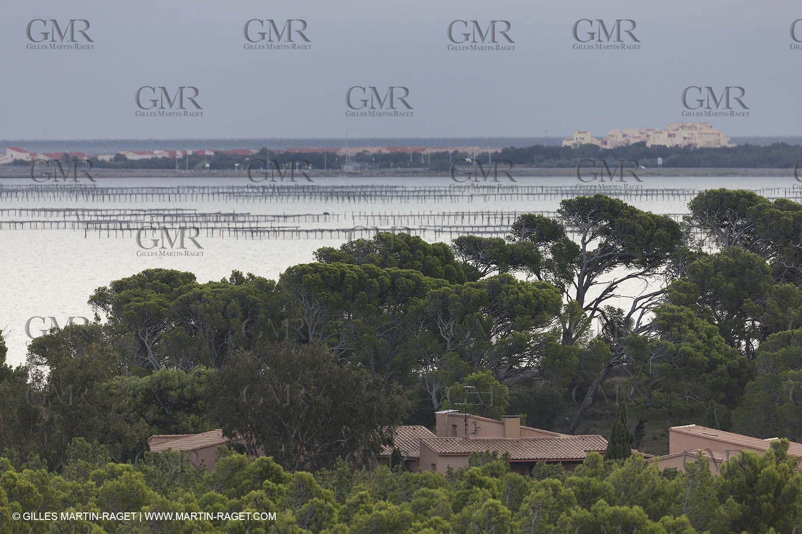 07 10 2014, Etang de Leucate (Fra,66)