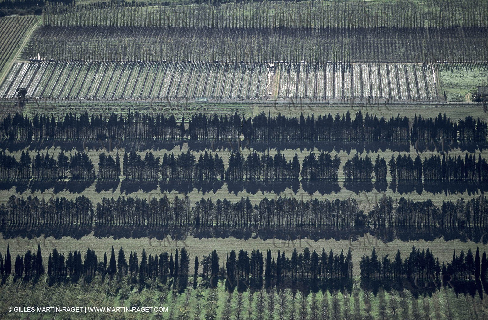 Agriculture near Eyguières
