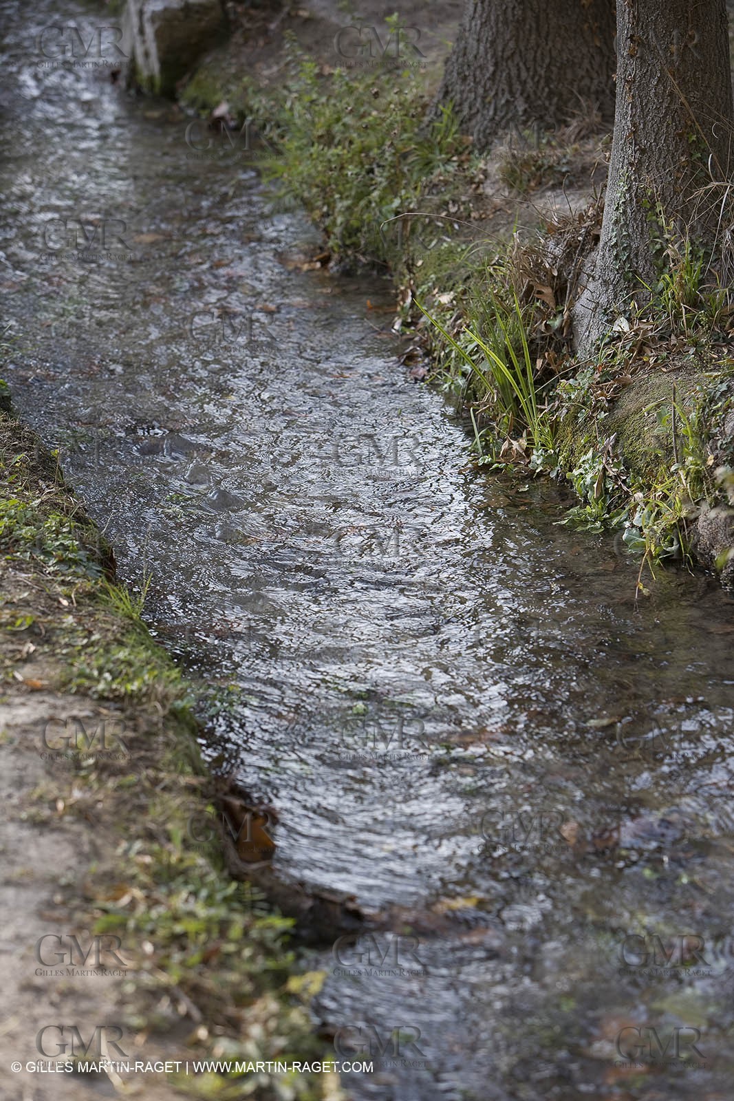 28 10 2007 - St Rémy de Provence (FRA,13) - Chateau des Alpilles