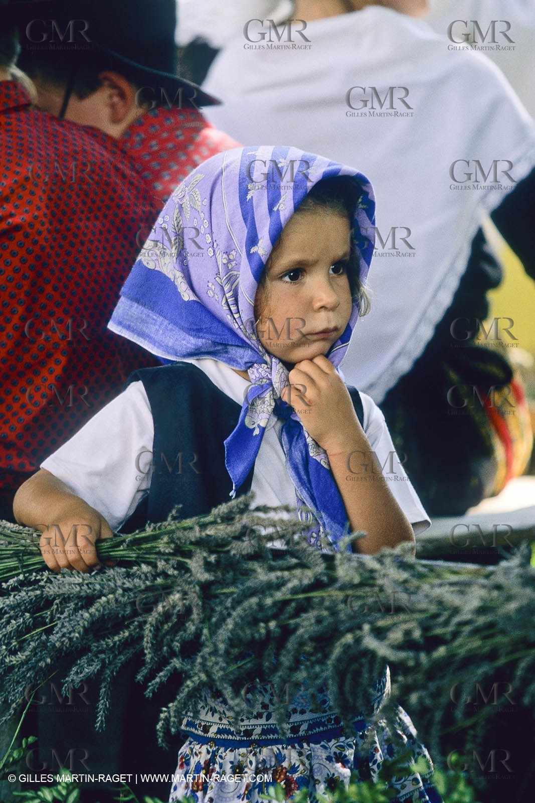 Saint Rémy de Provence (FRA,13) - Careto ramado (charrette fleurie)