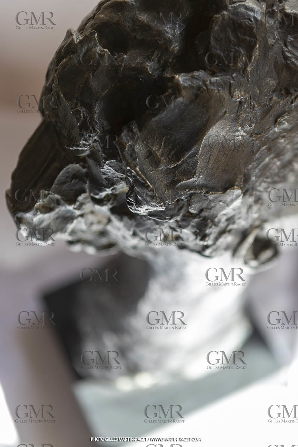 Oeuvre de Germaine Richier, buste La Regodias (Renée Regodias), 1938