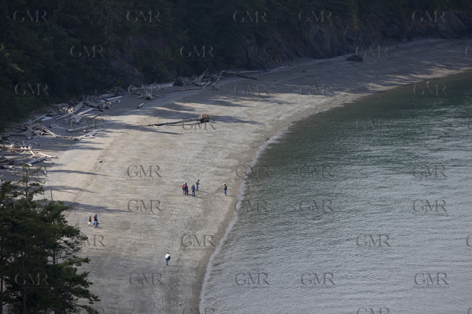01 09 2008 - San Juan Islands (WA, USA) - Killer Whales