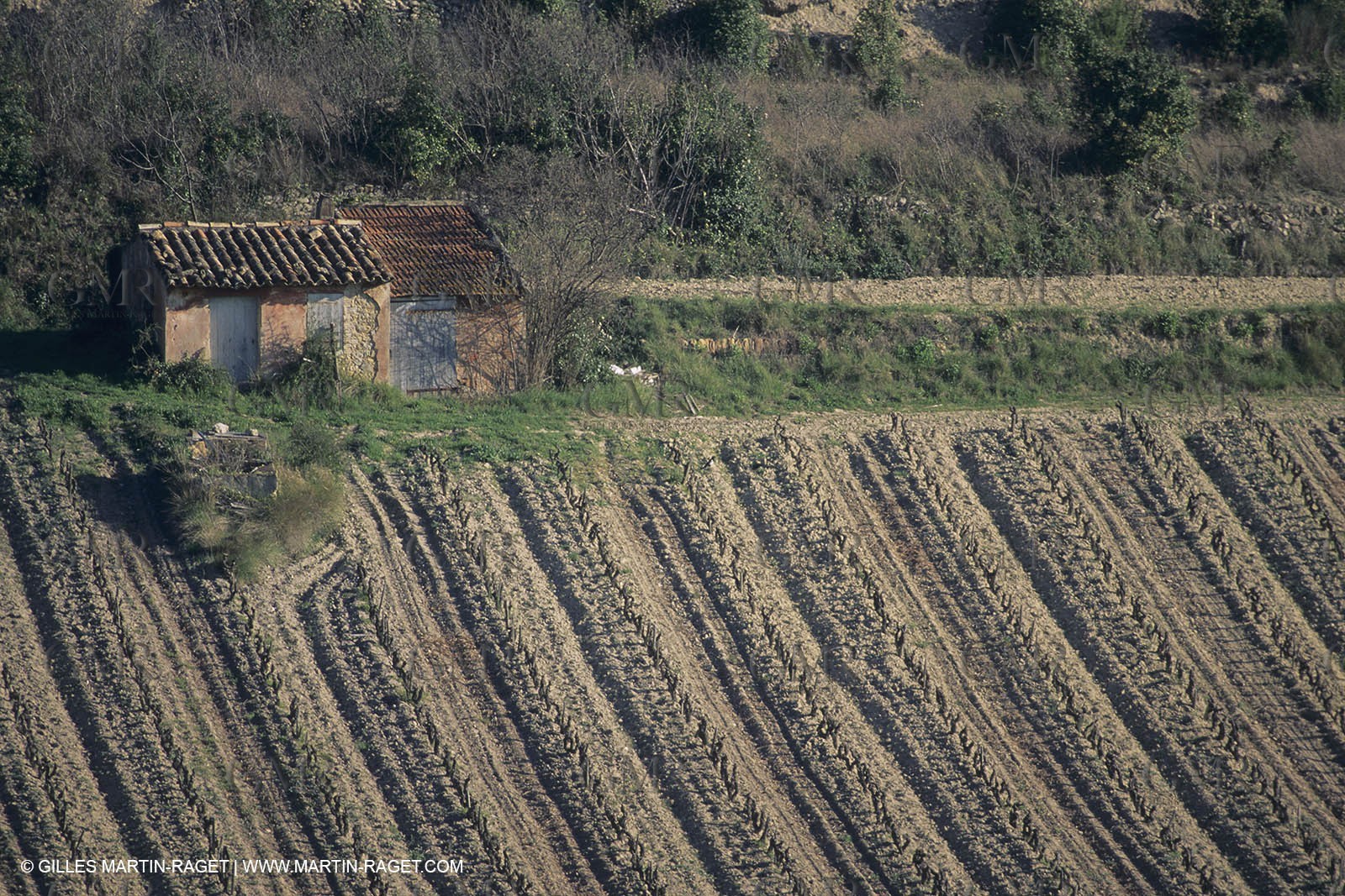 France, Provence, Vignobles des vins de Provence