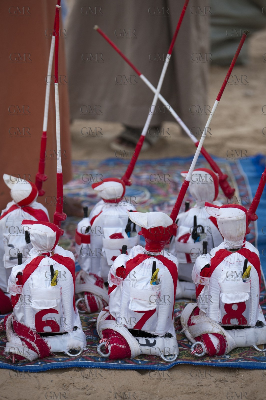 20 11 2010 - Dubai (UAE) - Camel races