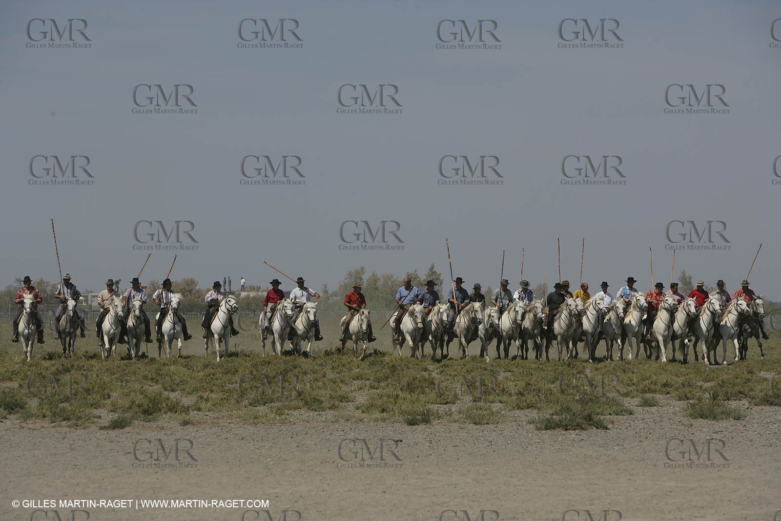 Arles 2006, Camargue horses races
