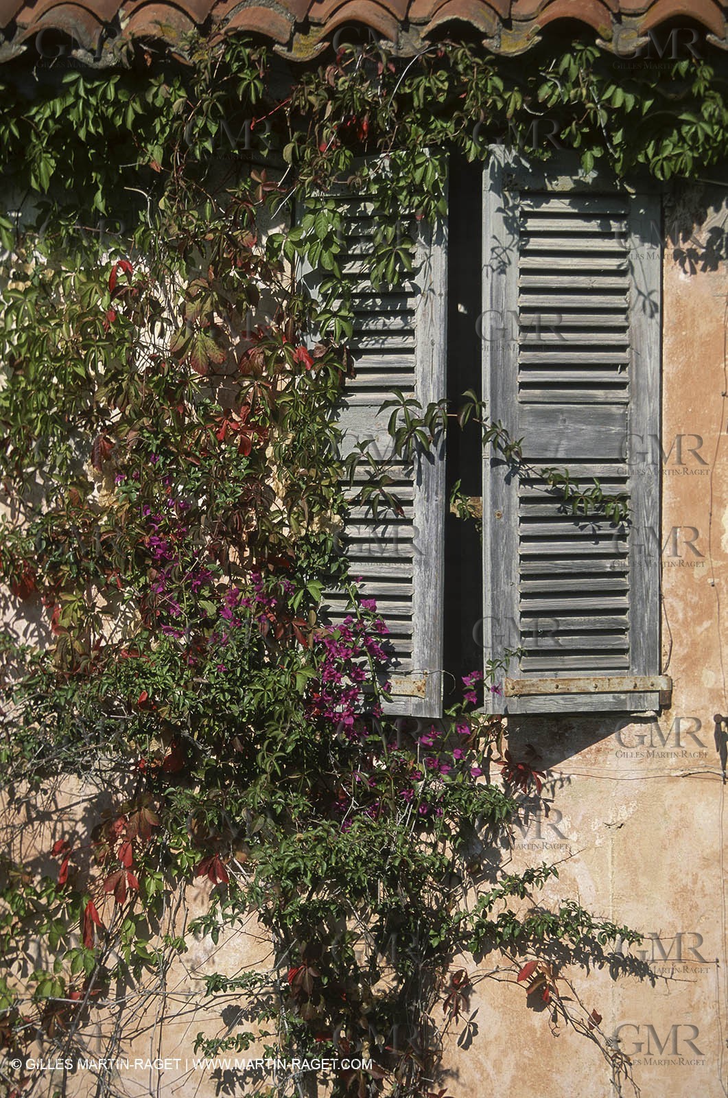 Var, 'Hyères islands, (FRA, 83), Porquerolles island