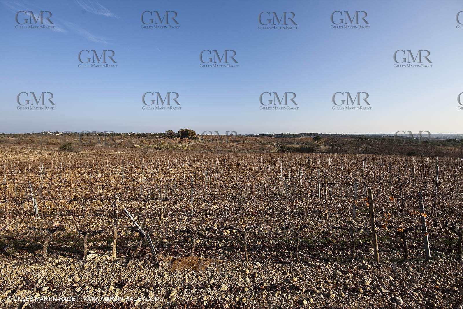 Saint Drézéry (FRA, 34), Domaine de Puech Haut
