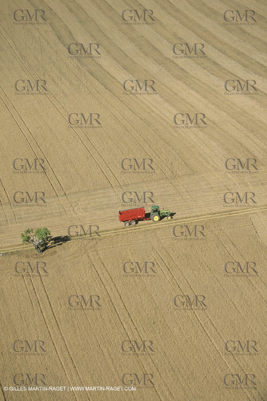 France, Provence, Agriculture