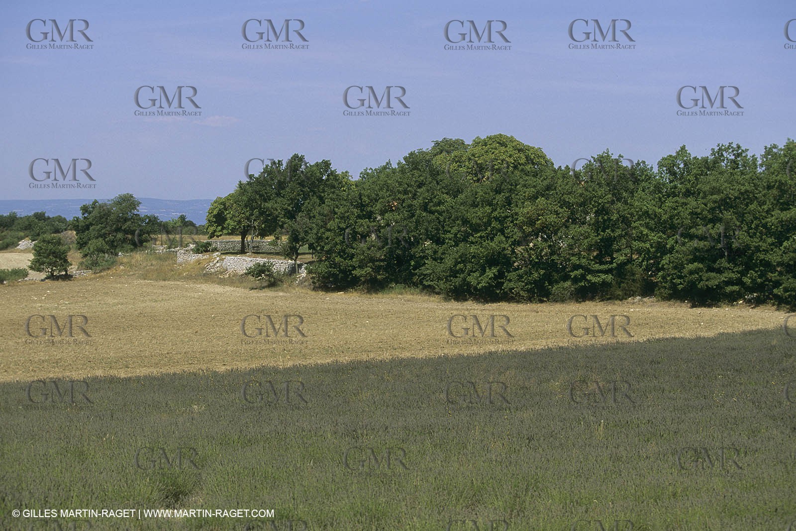 France, Provence, Mas, maison, propriétés, Vansorgues