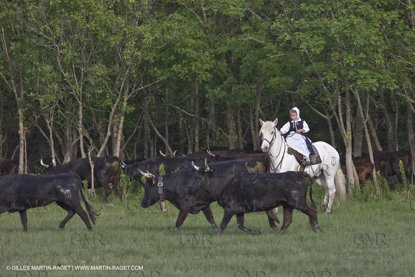 07 05 2008 - Le Cailar (FRA,30) - Stock work at Mas du Pont de Laute domain