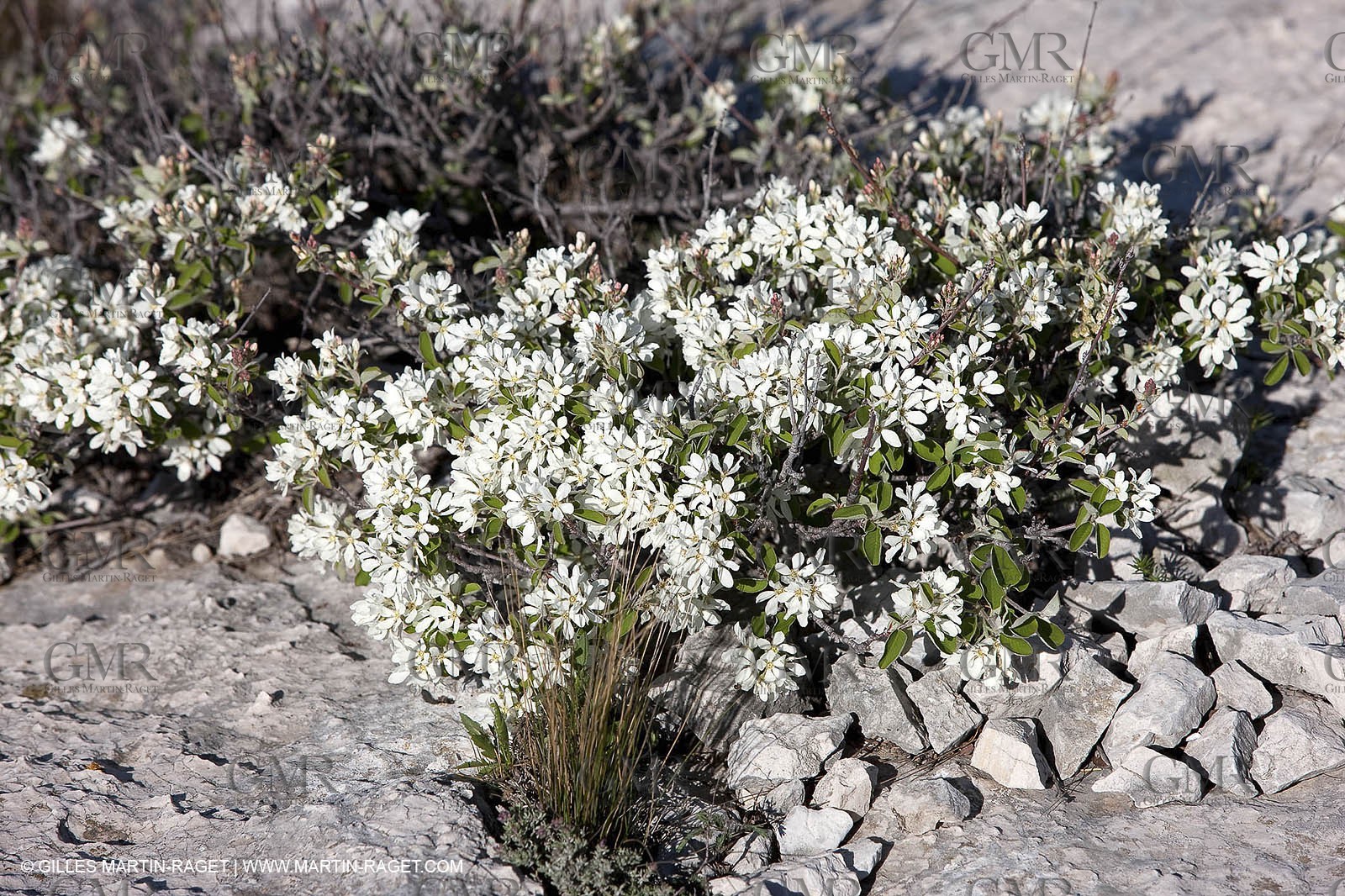18 04 2009 - Marseille (FRA, 13) - Les Calanques